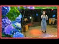 レイニー・サマー 鈴木雄大 カバー 歌唱 宝来涼叶様 2024/6/25
