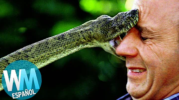 ¿Cuál es la serpiente más mala del mundo?
