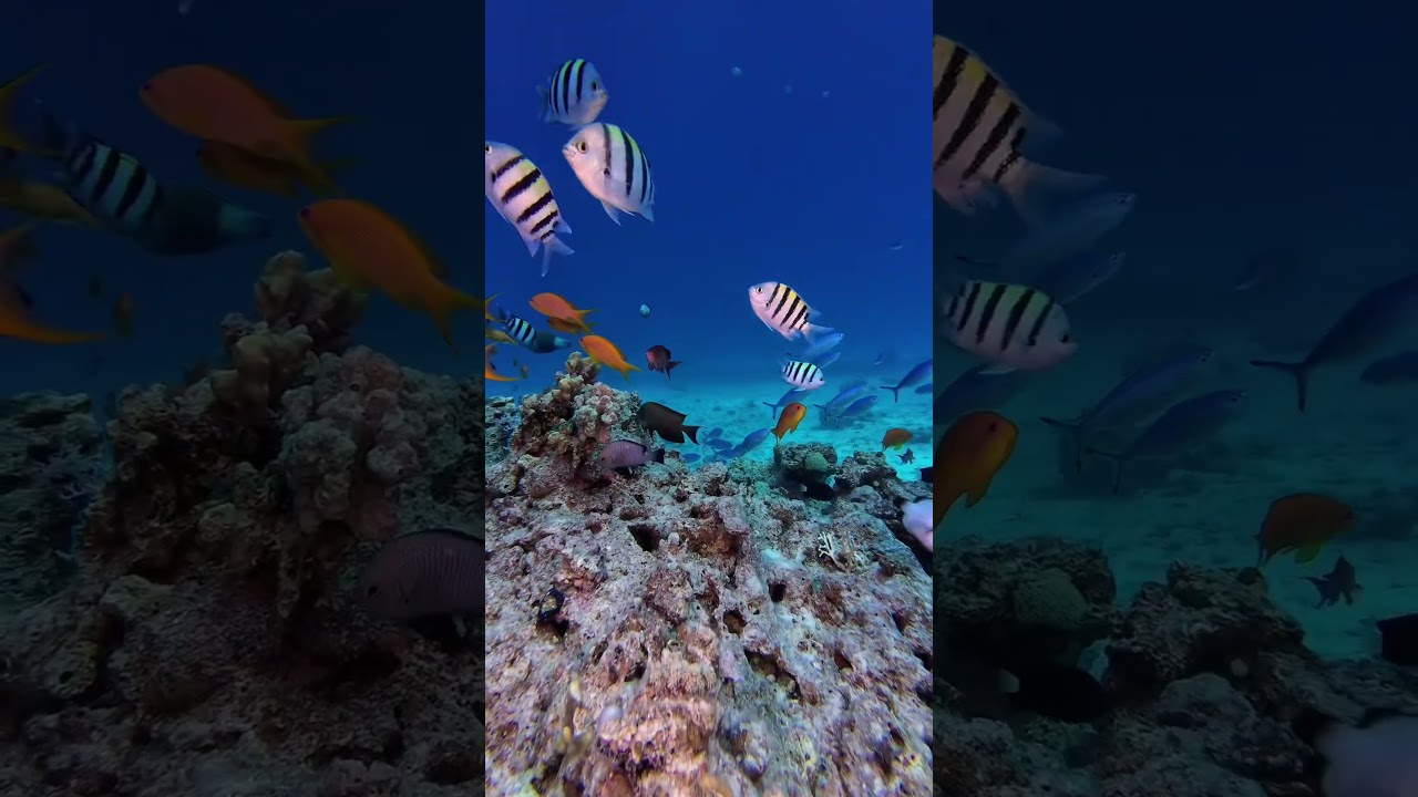 Boat Trip: Discover Scuba Diving in Hurghada