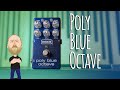 THE BEEF! MXR Poly Blue Octave!
