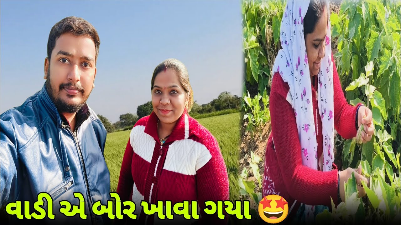 વાડી એ બધા બોર ખાવા ગયા 🤩 | Family Vlog | Bhavikwithanjalivlogs 