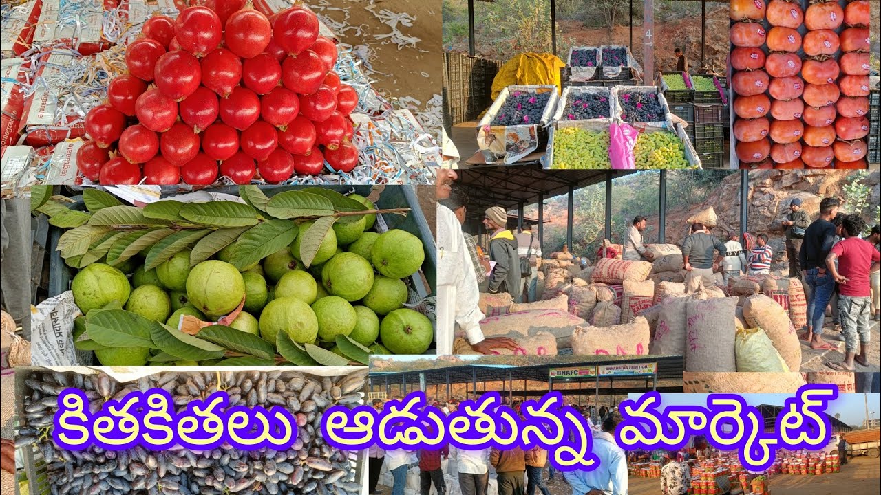 🍇🍇🍊🫐#today #batasingaram ఫ్రూట్ మార్కెట్ #telangana #ramojiflimcity ...