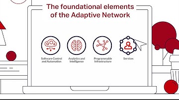 The foundational elements of the Adaptive Network
