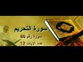 هل تبحث عن فيديو لقراءة سورة التحريم بتلاوة مؤثرة وخاشعة الشيخ أدهم السيد