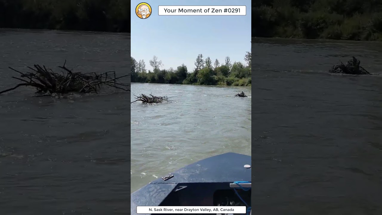 ScienceMan Moment of Zen 0291 