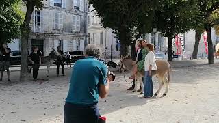 Antoinette dans les Cévennes, séance photo au Festival du film francophone d'Angoulême