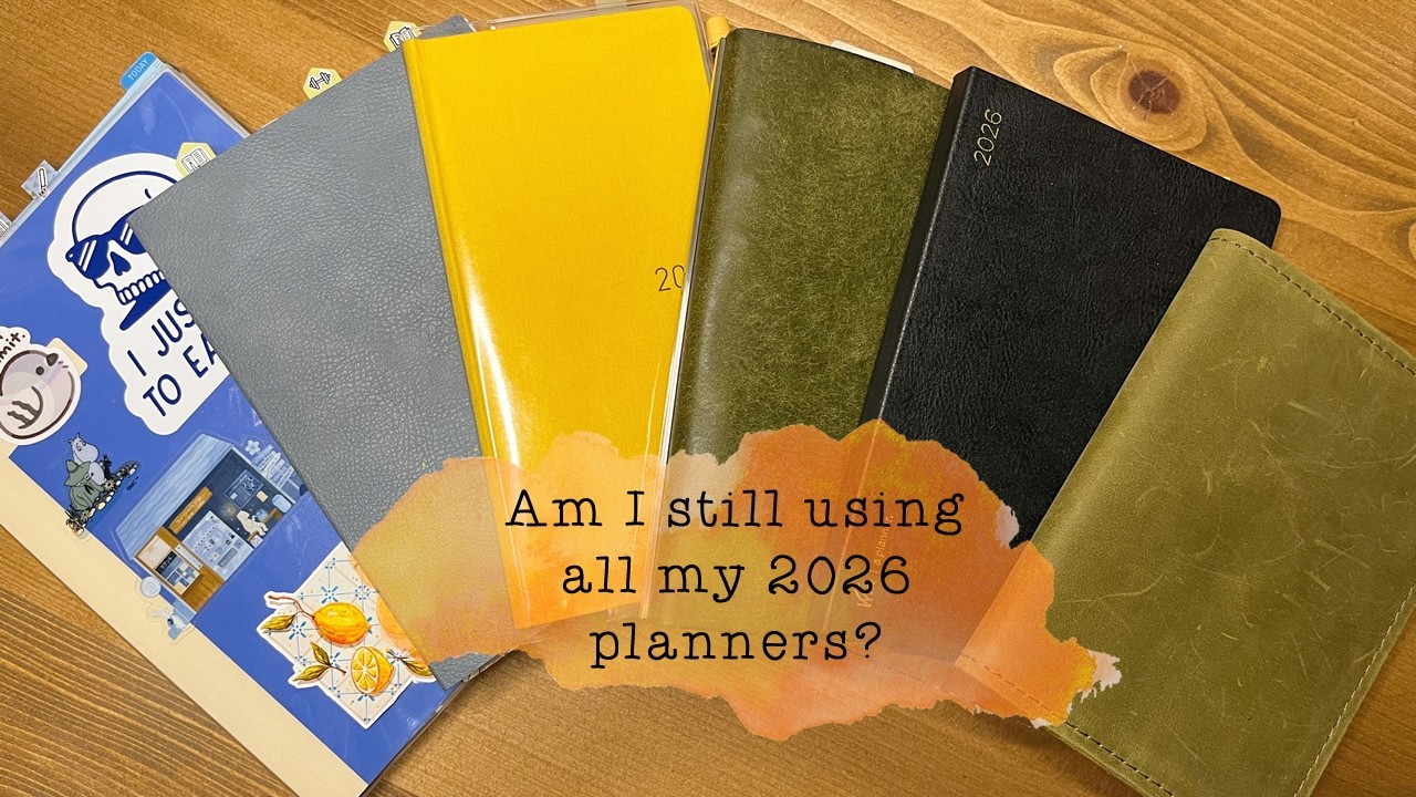 Проверка правильности планирования — Как я использую свои ежедневники в этом году?