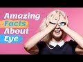 Top 20 Amazing Facts About Eye - Interesting Facts About Eye