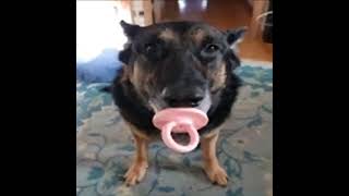 Oi Oi Oi Vs Beat Street Fighter (Slowed)