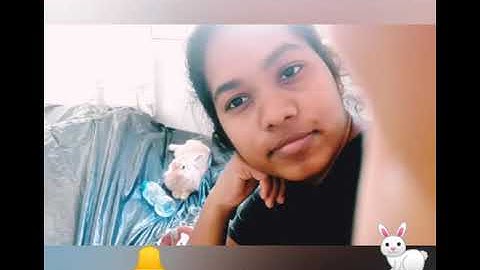 Bunny Ruby and Sister Ruwi