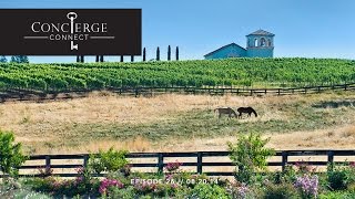 Look Video // Anselmo Vineyards and Seven Hills Ranch // Inwood Valley, CA