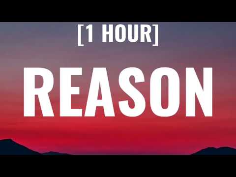 XO TEAM - Reason [1 HOUR/Lyrics] \