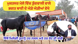 ਮੁਕਤਸਰ ਸਾਹਿਬ ਦਾ ਮਾਘੀ ਮੇਲਾ || Mukatsar Sahib Horse Mela || @ILTILANATV #mukatsarhorsemela