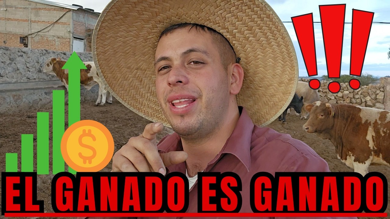 EL GANADO es GANADO | PUROS BUENOS NEGOCIOS | RancheandoAndo