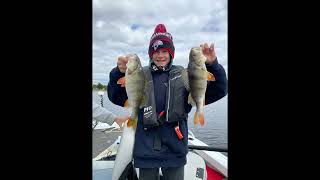 Dizzy scent doing the damage with 151 + fish today nice day fishing
