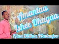 笙ヲNew Amantaa Ishee Dhugaa F Taa Diittaa Wadaajoo Faaruu Afaan Oromoo Haaraa 笙ヲNew Amantaa Ishee Dhugaa F Taa Diittaa Wadaajoo Faaruu Afaan Oromoo Haaraa