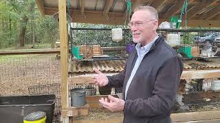Rabbits Urine: Turbo Charge Your Compost
