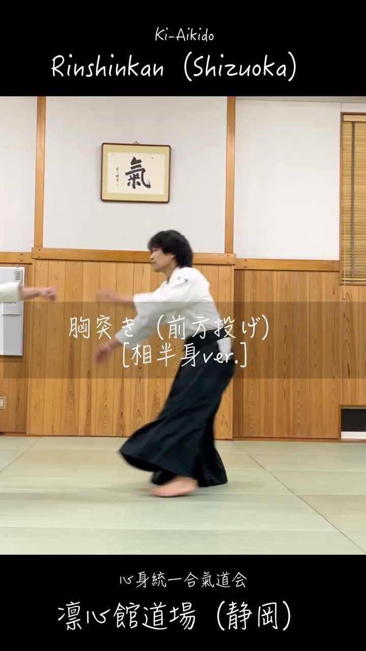番外編］胸突き呼吸投げ 相半身ver. #kiaikido #心身統一合氣道 #合