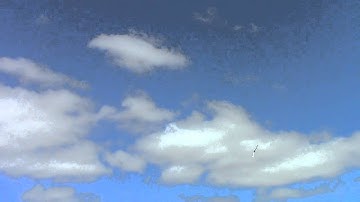 align trex 700e v2 10/2/13