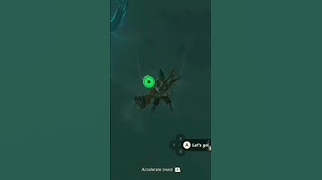 I found a totk skydive fall damage cancel #totk