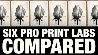 Six Pro Print Labs Compared