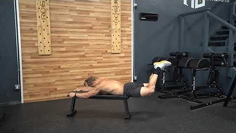 Bent Leg Reverse Hyper on Bench