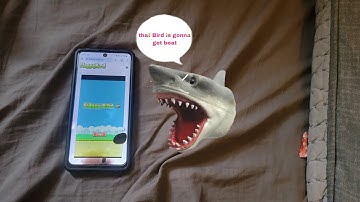 ST Movie: shark puppet plays flappy bird! (part 1-the Website) credits: @itssharkeyboi