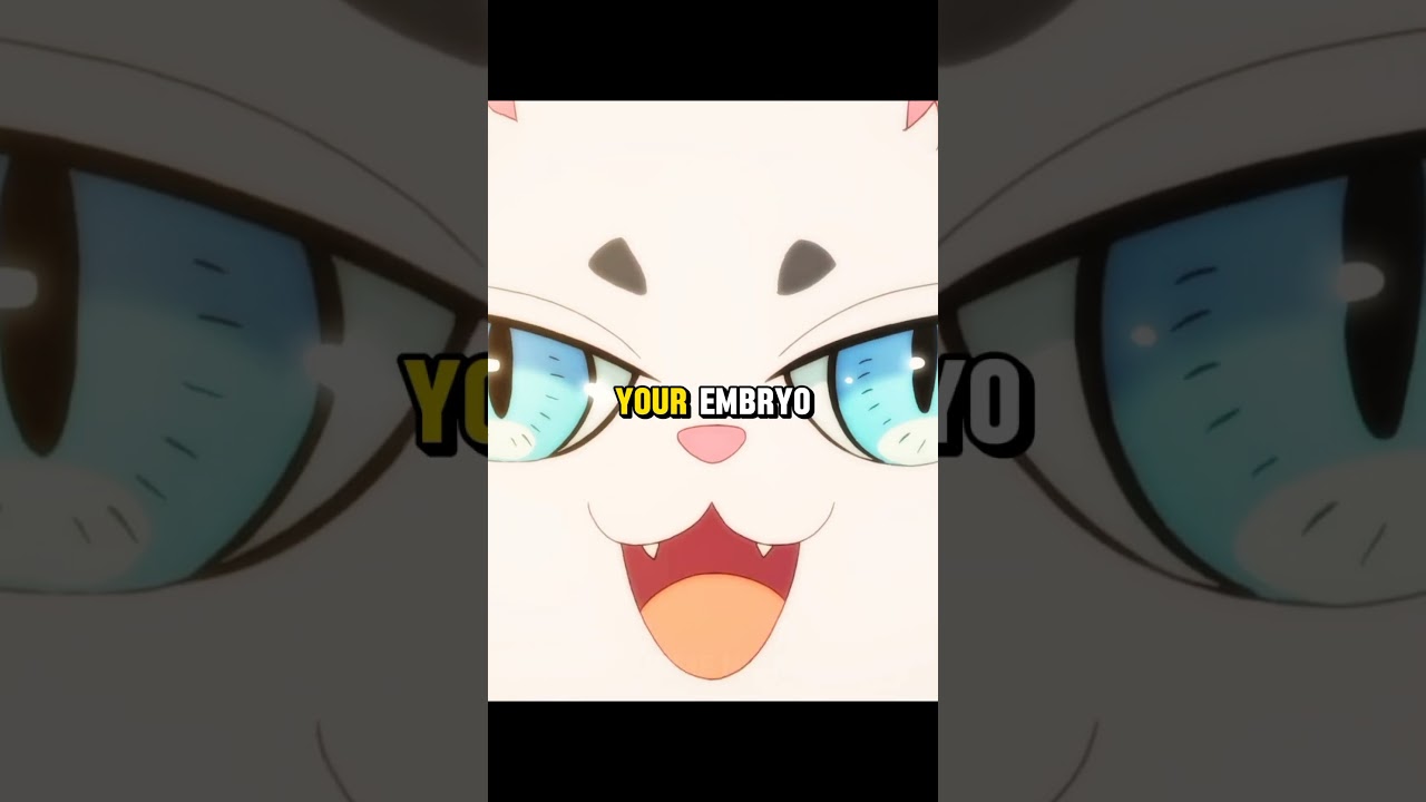 Infinite possibilities😮