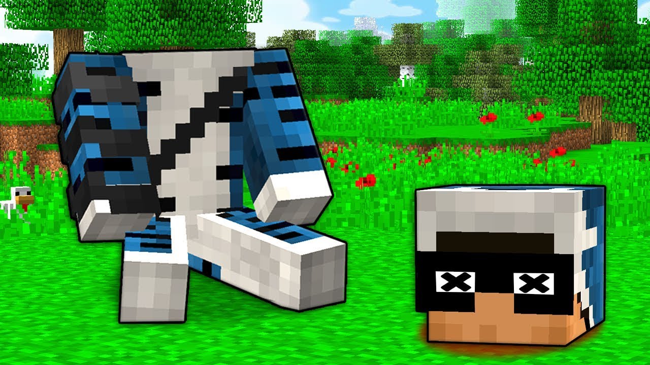 100 MODI PER UCCIDERE KENDAL