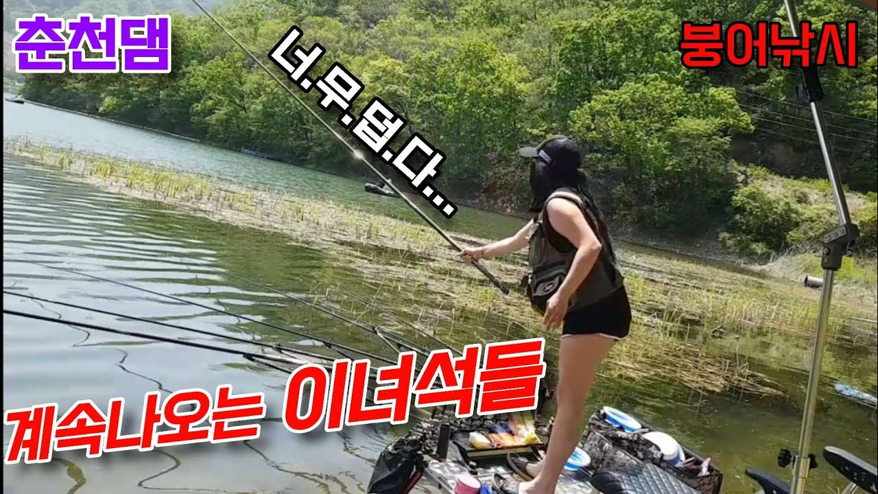 춘천댐에서 계속나오는 이녀석들!!!!!!!😱나를 열받게하는...@#$%!@ #춘천댐낚시#DIF무전무패골드#슬로우찌#붕어낚시#여조사#댐낚시#노지낚시#라프벙거텐트