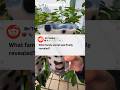 What family secret was finally revealed #shorts #reddit #redditstories  #shortvideo #short #reels