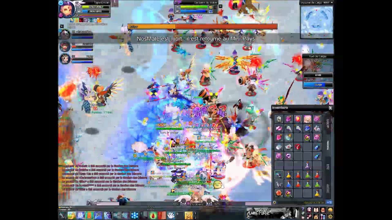 Nostale Raid Caligor 15/02 17h