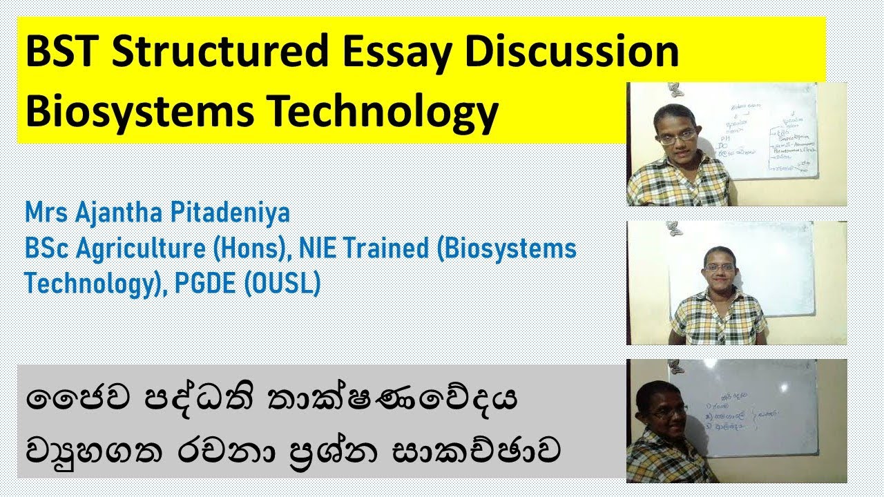 structured-essay-discussion-youtube