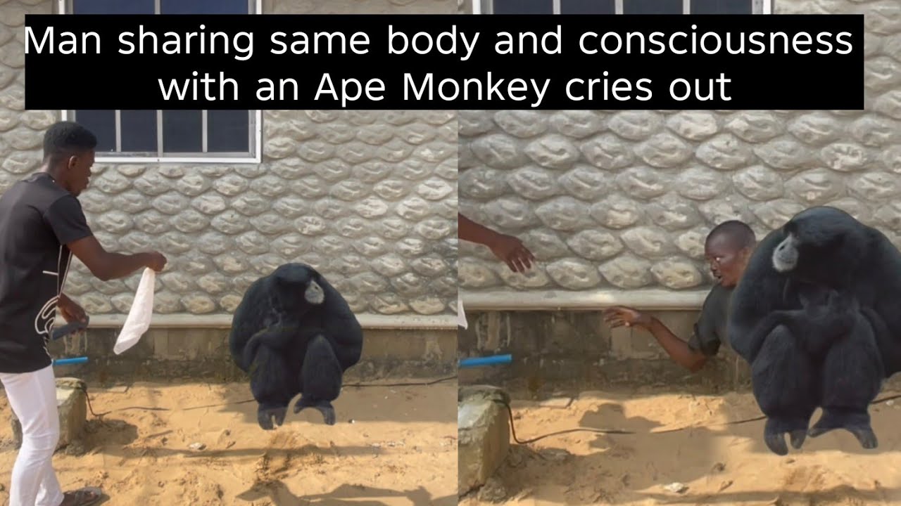 Evuul st£p mother tr@ps man inside a Monkey for 12 years as she plots to make him a n0n-ent!ty 