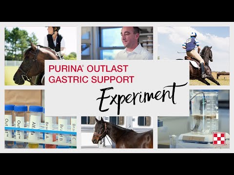 Purina Outlast® Gastric Support for Horses pH Experiment