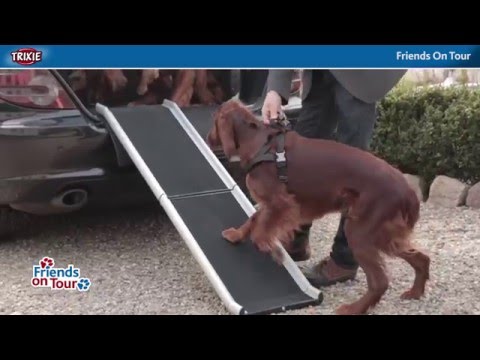 Rampe pour chien Friends On Tour : Accessoires de voiture pour chien -  Wanimo