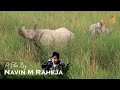 Dudhwa national park   choti haldwani  a film by navin m raheja