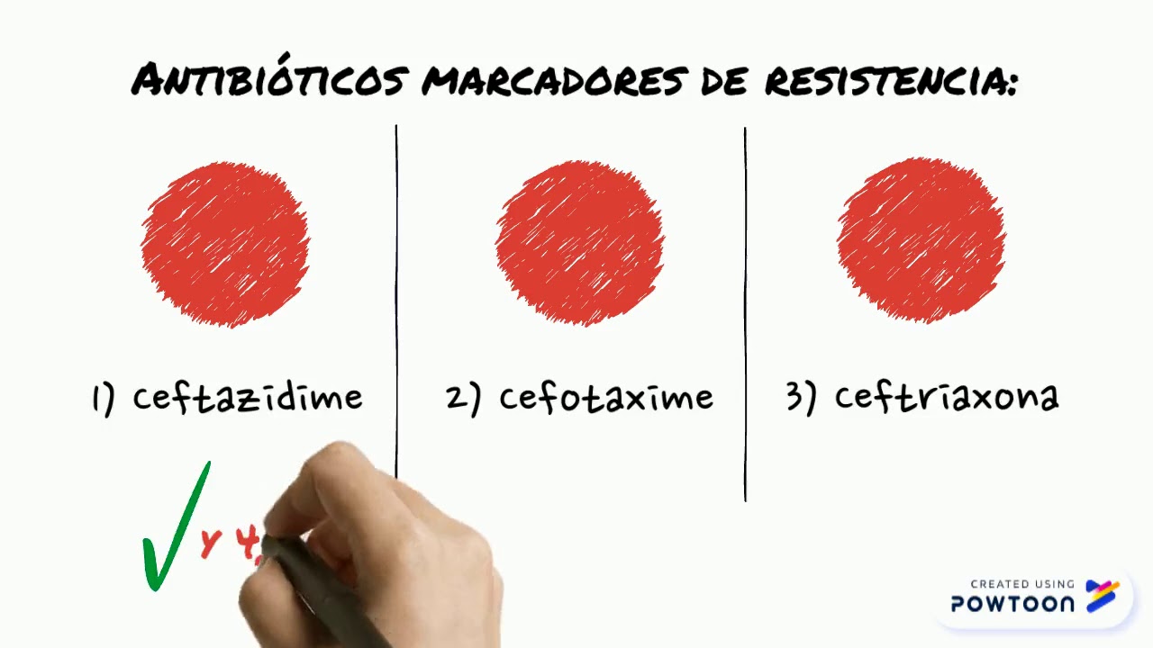 BLEE Y AmpC YouTube blee-y-ampc-youtube