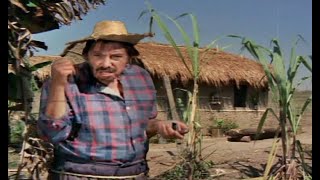 MAZZAROPI- CASAR; De novo.