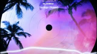 Slowboy - Flamingo (Slowed) (Visualizer)