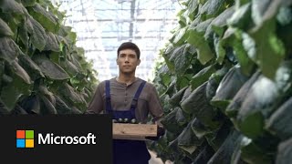 Blue Radix helps solve the greenhouse aging crisis with Azure automation