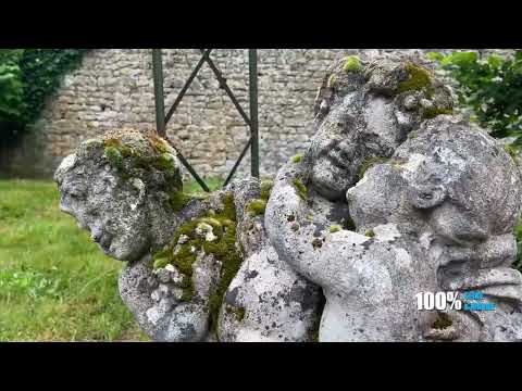 [EXTRAIT] Château de Paley sur BFM TV