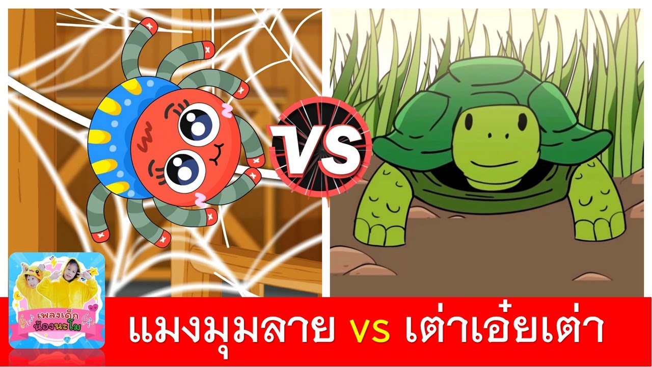 แมงมุมลาย vs เต่าเอ๋ยเต่า