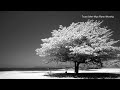 MY HIDING PLACE | Tsura John Wya (Piano Instrumental for Meditation, Relaxation &amp; Stress Relief)