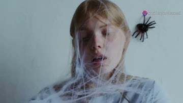 Arachnophobia: Why Are We So Scared of Spiders?