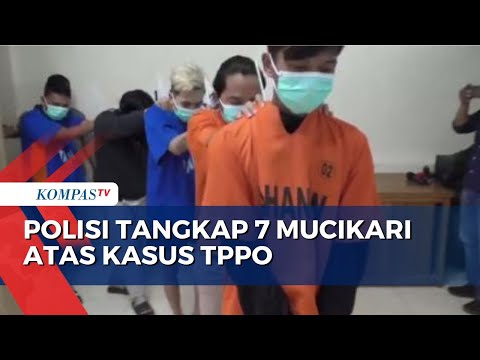 Tawarkan PSK Lewat Aplikasi, 7 Mucikari di Gorontalo Ditangkap!