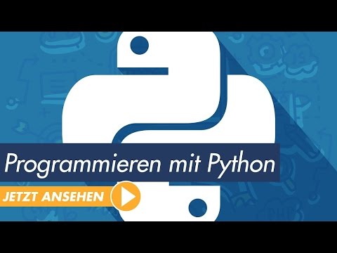 Programmieren mit Python: Umgang mit Variablen in Python