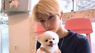Stray Kids vines to help you go through hard times