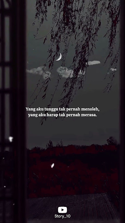 StoryWa Cinta bertepuk sebelah tangan #storywa #katacinta #quotescinta #storywa30detik