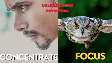 From Chaos to Clarity: 11 Tips for Laser-Sharp Focus